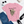 Meowdy Partner Women's Fitted short sleeve t-shirt
