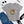 Just Eat Plants Women's Fitted short sleeve t-shirt